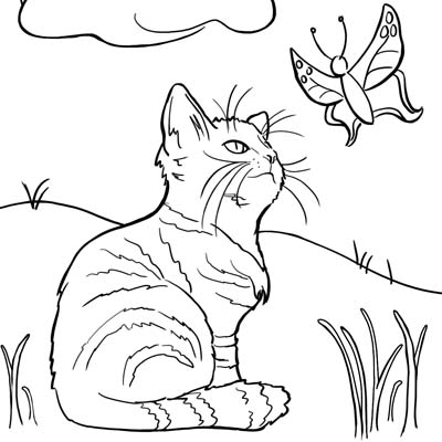 Kitten and Butterfly Coloring Page C0001
