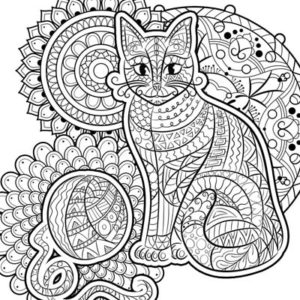 Cat zen doodle and mandala coloring page