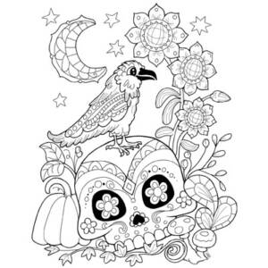 Raven and Skull Coloring Page (C0070)