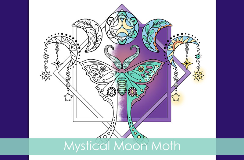 Image of a luna moth illustration with the phases of the moon and the text "Mystical Moon Moth"